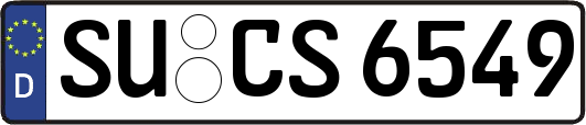 SU-CS6549