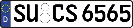 SU-CS6565