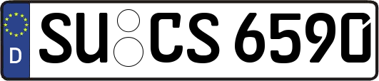 SU-CS6590