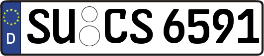 SU-CS6591
