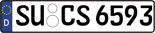SU-CS6593
