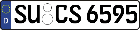 SU-CS6595
