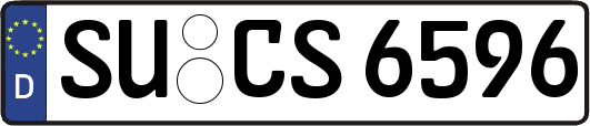SU-CS6596