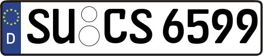 SU-CS6599