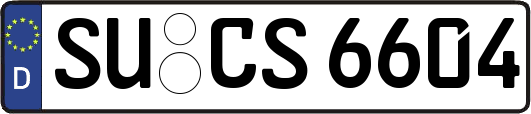 SU-CS6604