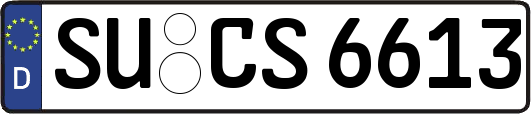 SU-CS6613