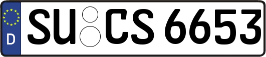 SU-CS6653