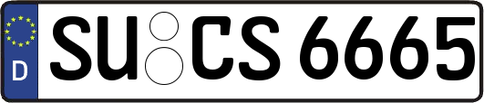 SU-CS6665