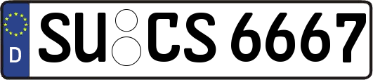 SU-CS6667