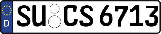 SU-CS6713