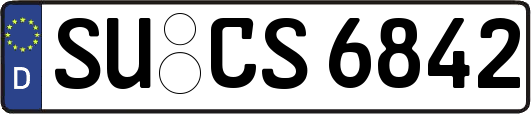 SU-CS6842