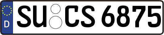 SU-CS6875