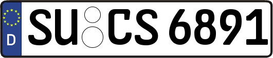SU-CS6891