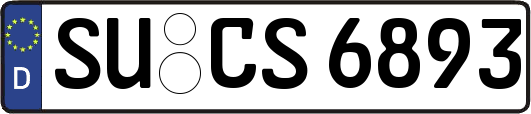 SU-CS6893