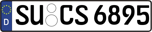 SU-CS6895