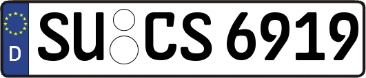 SU-CS6919