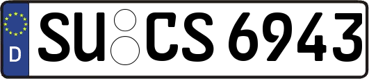 SU-CS6943