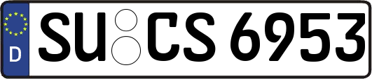 SU-CS6953