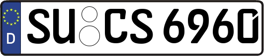 SU-CS6960