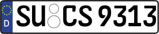 SU-CS9313