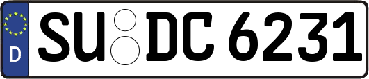 SU-DC6231