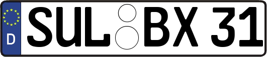 SUL-BX31