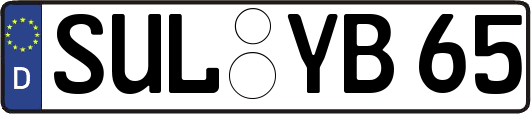 SUL-YB65