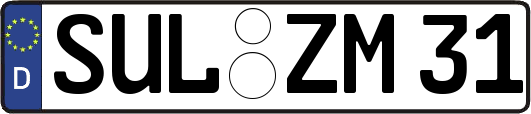 SUL-ZM31