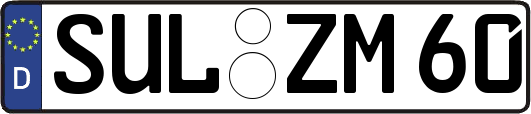SUL-ZM60