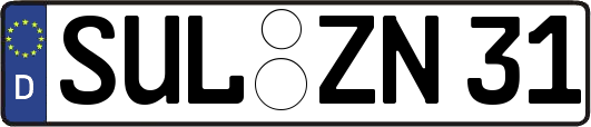 SUL-ZN31