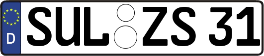 SUL-ZS31