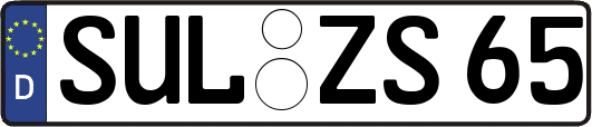 SUL-ZS65