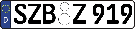 SZB-Z919