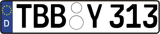 TBB-Y313