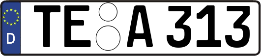 TE-A313