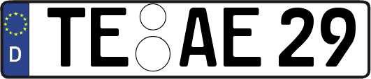 TE-AE29