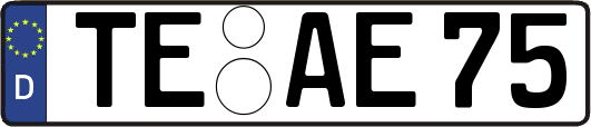 TE-AE75