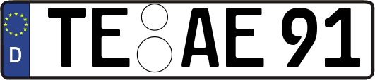 TE-AE91