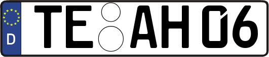 TE-AH06