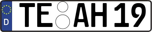 TE-AH19