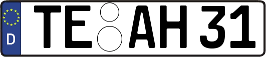 TE-AH31