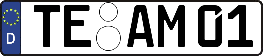 TE-AM01