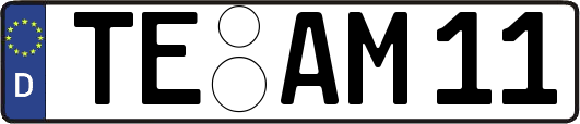 TE-AM11