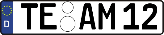 TE-AM12
