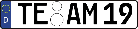 TE-AM19