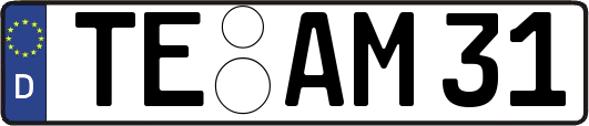 TE-AM31