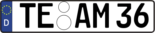 TE-AM36