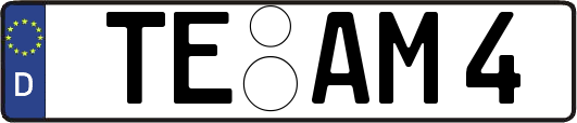 TE-AM4