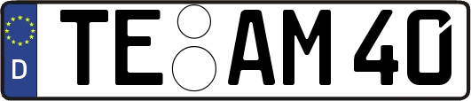 TE-AM40