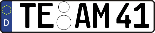 TE-AM41